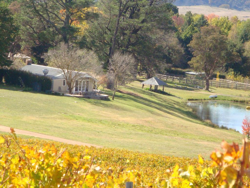 Mayfield Vineyard Orange Exterior foto